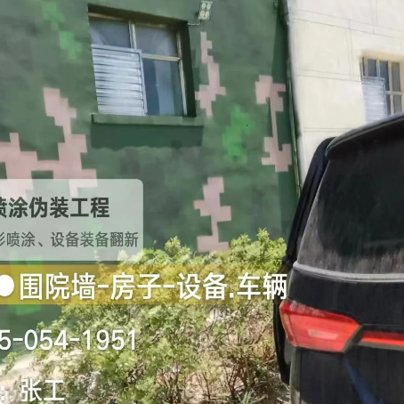 常州数码迷彩漆施工